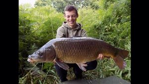 Common Carp