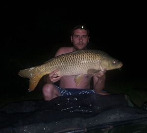 Common Carp