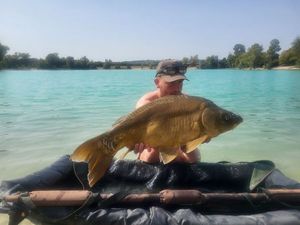 Mirror Carp