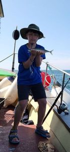 Chub Mackerel