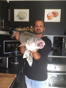 European Bass (Seabass)