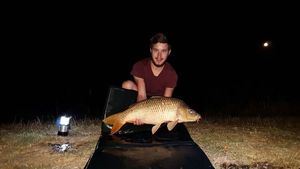 Common Carp