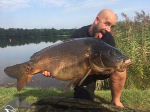 Mirror Carp