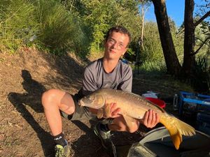 Mirror Carp