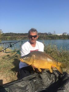 Mirror Carp