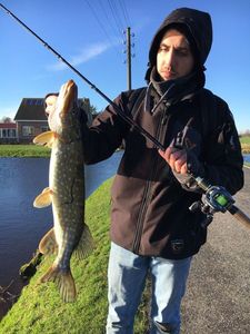 Northern Pike