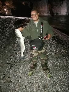 European Bass (Seabass)