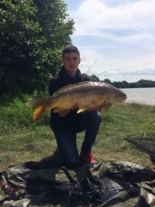 Mirror Carp