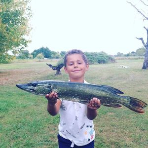 Northern Pike