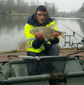 Common Bream