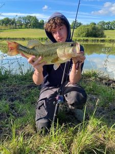 Largemouth Bass