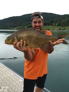 Common Bream