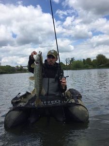 Northern Pike