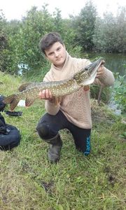 Northern Pike