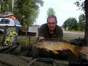 Mirror Carp