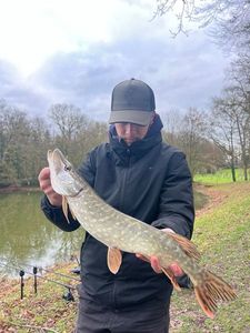 Northern Pike