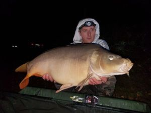 Mirror Carp
