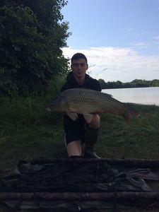 Mirror Carp