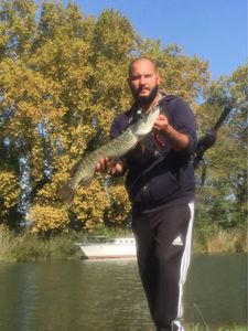 Northern Pike