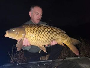 Common Carp