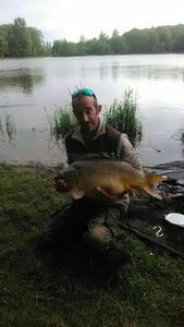 Mirror Carp