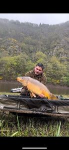 Mirror Carp