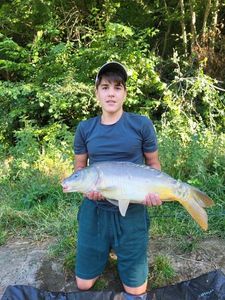 Mirror Carp
