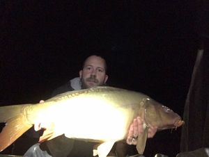 Mirror Carp