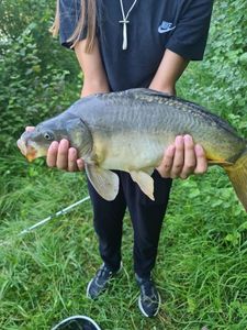 Leather Carp