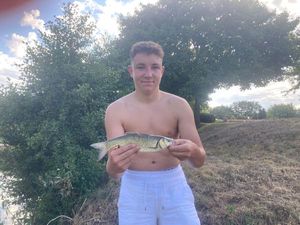 Chub