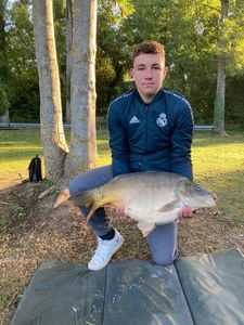 Mirror Carp