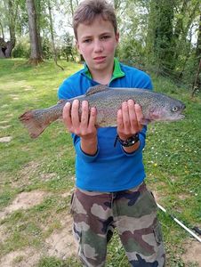 Rainbow Trout