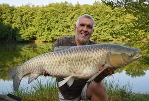 Grass Carp