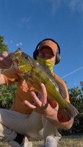 Peacock Bass ( Monoculus)