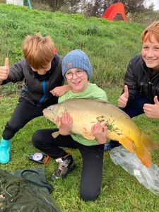 Mirror Carp