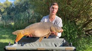 Mirror Carp