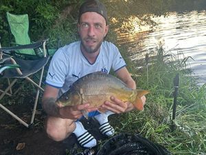 Mirror Carp