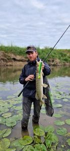 Northern Pike