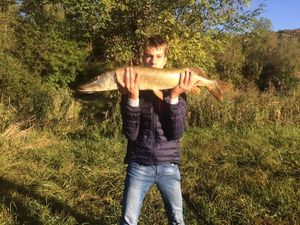 Northern Pike