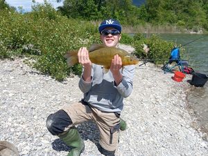 Tench