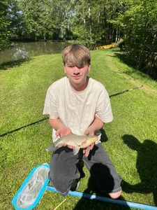 Common Carp