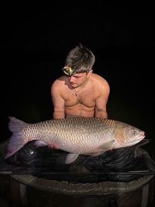 Grass Carp