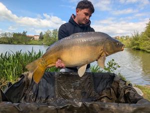 Mirror Carp