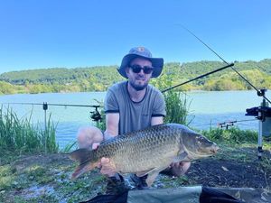 Common Carp