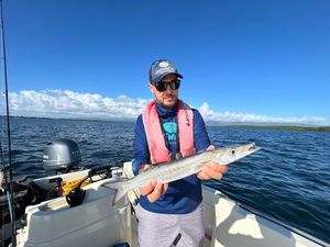 Obtuse Barracuda