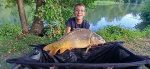 Mirror Carp