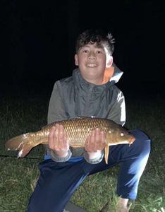 Crucian Carp