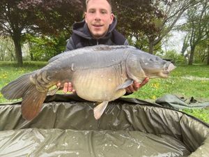 Mirror Carp