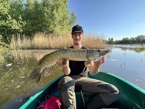 Northern Pike