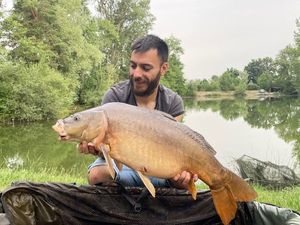 Mirror Carp